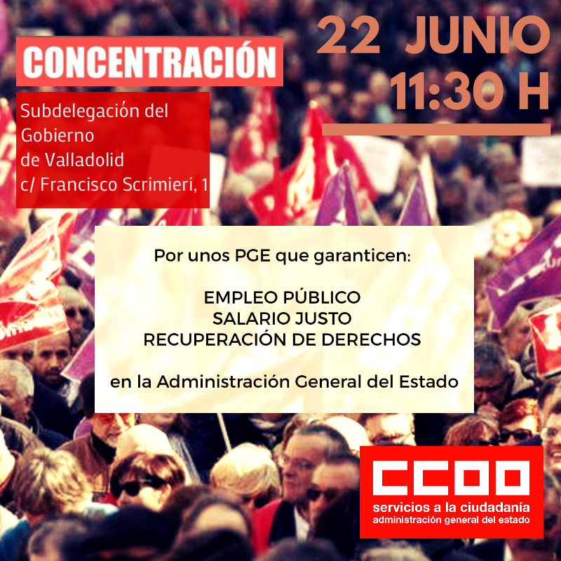 Cartel Concentracin 22 de junio de 2017 en Valladolid
