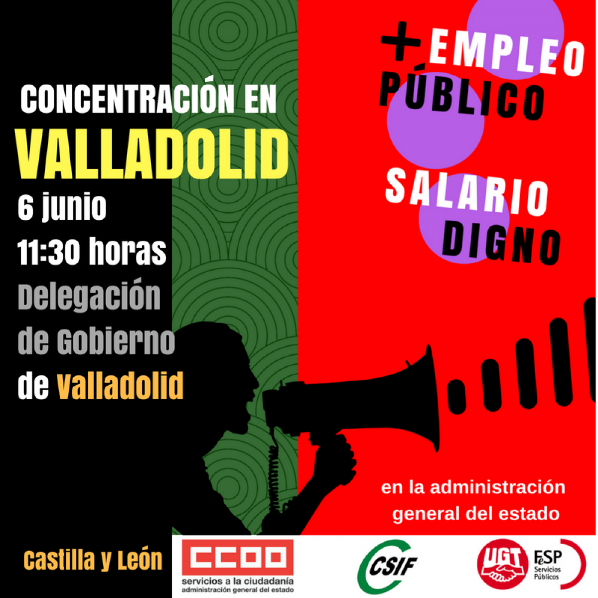 Concentarcin en Valladolid (6/6/2018)